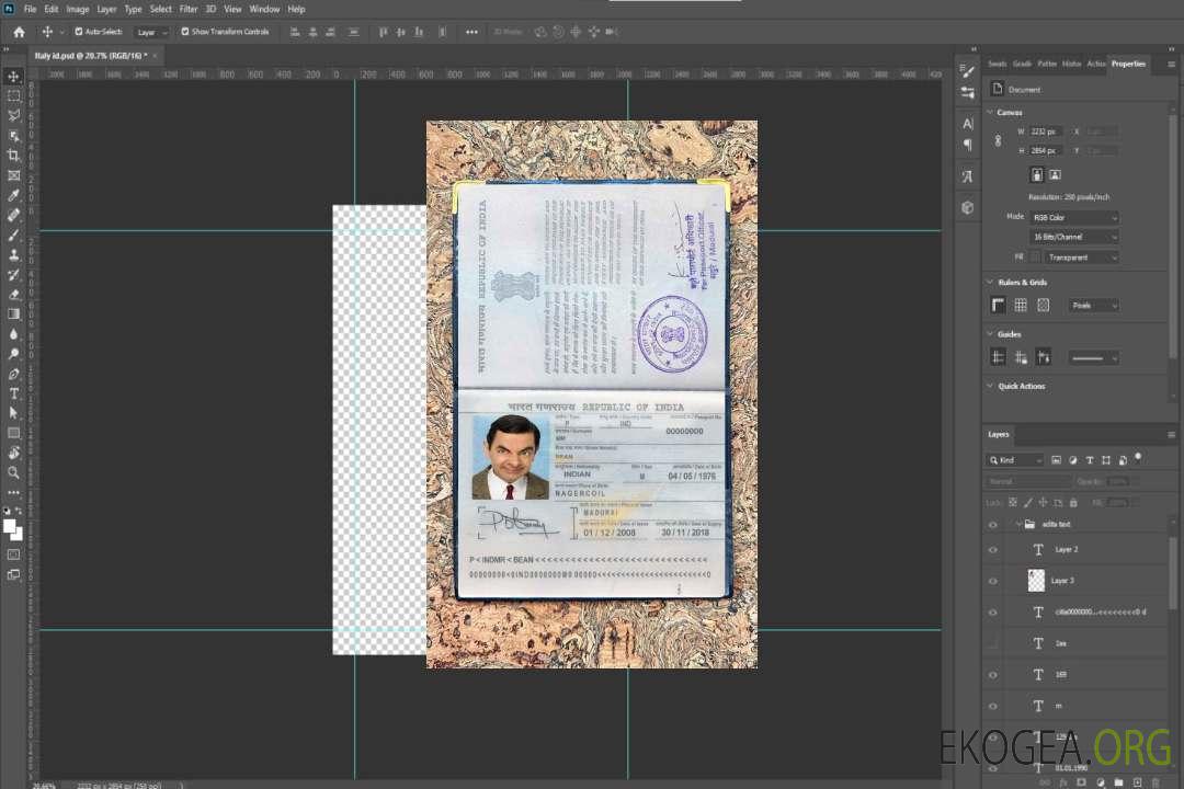 Look de photo de passeport indien template Look de photo de passeport indien template